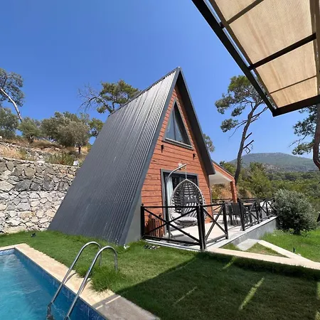 Olympos & *