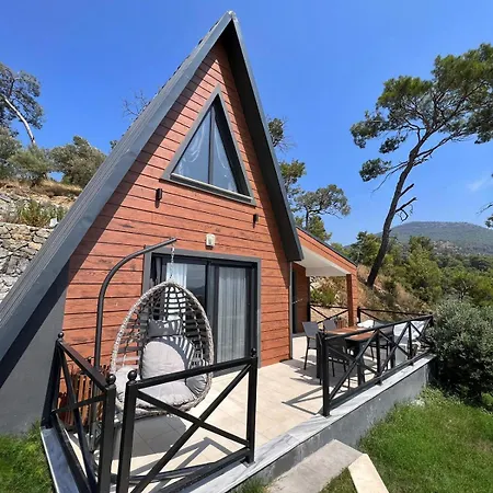 Olympos & Vilă *